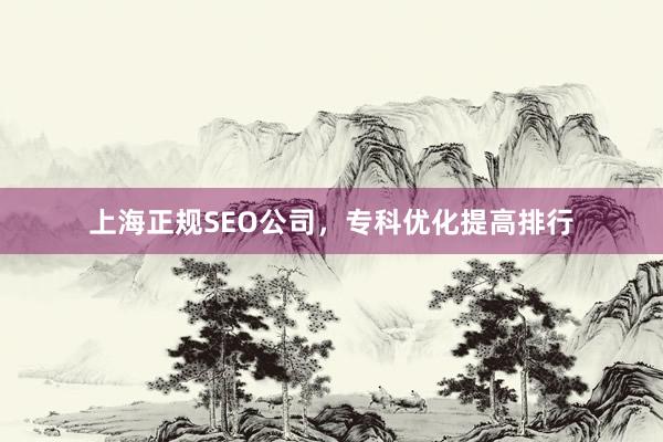 上海正规SEO公司，专科优化提高排行